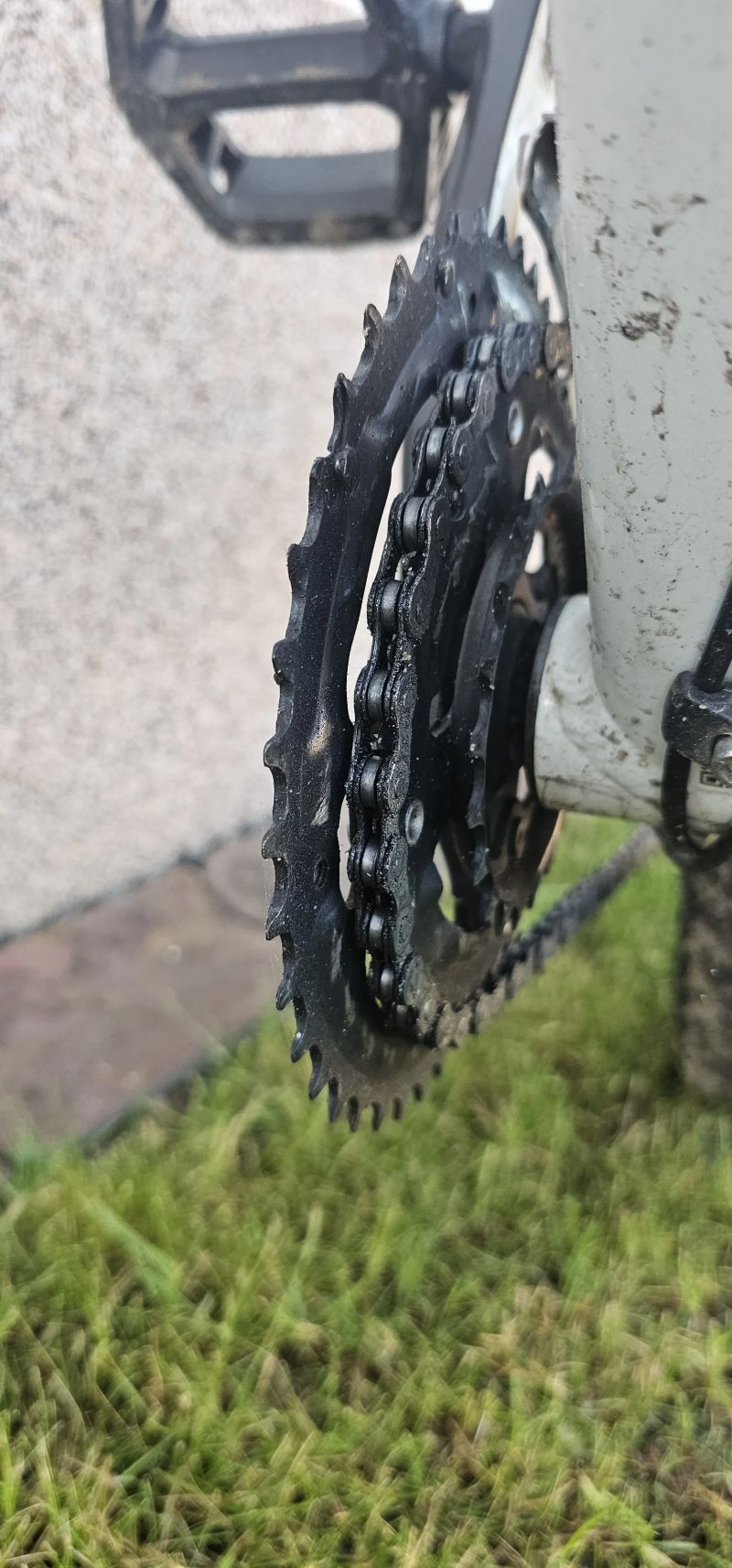 Specialized