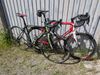 Wilier Isoard XP