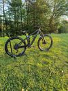 Trek Remedy 7