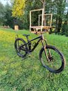 Trek Remedy 7