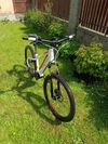 Lectron Montana Max