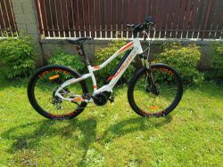 Lectron Montana Max