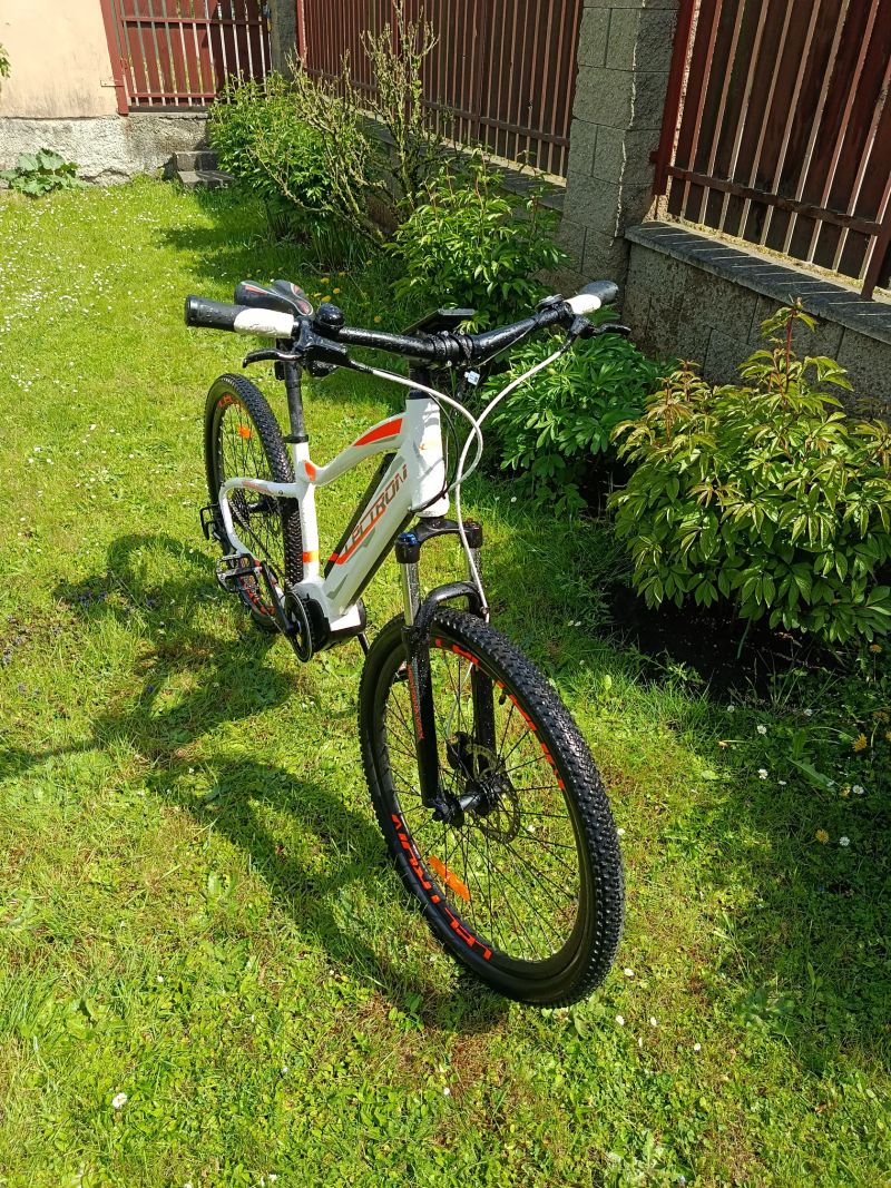 Lectron Montana Max