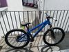 CTM Dirtking