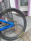 CTM Dirtking