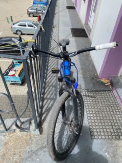 CTM Dirtking