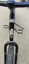 Městské kolo Electra Cruiser 1