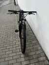 Specialized Jett Sport