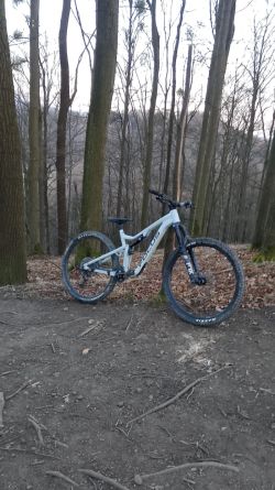 Focus 6.9