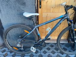 Trek Mamba 2011