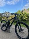 Trek Remedy 8