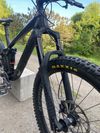 Trek Remedy 8
