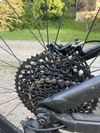 Trek Remedy 8