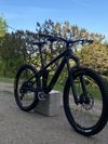 Trek Remedy 8