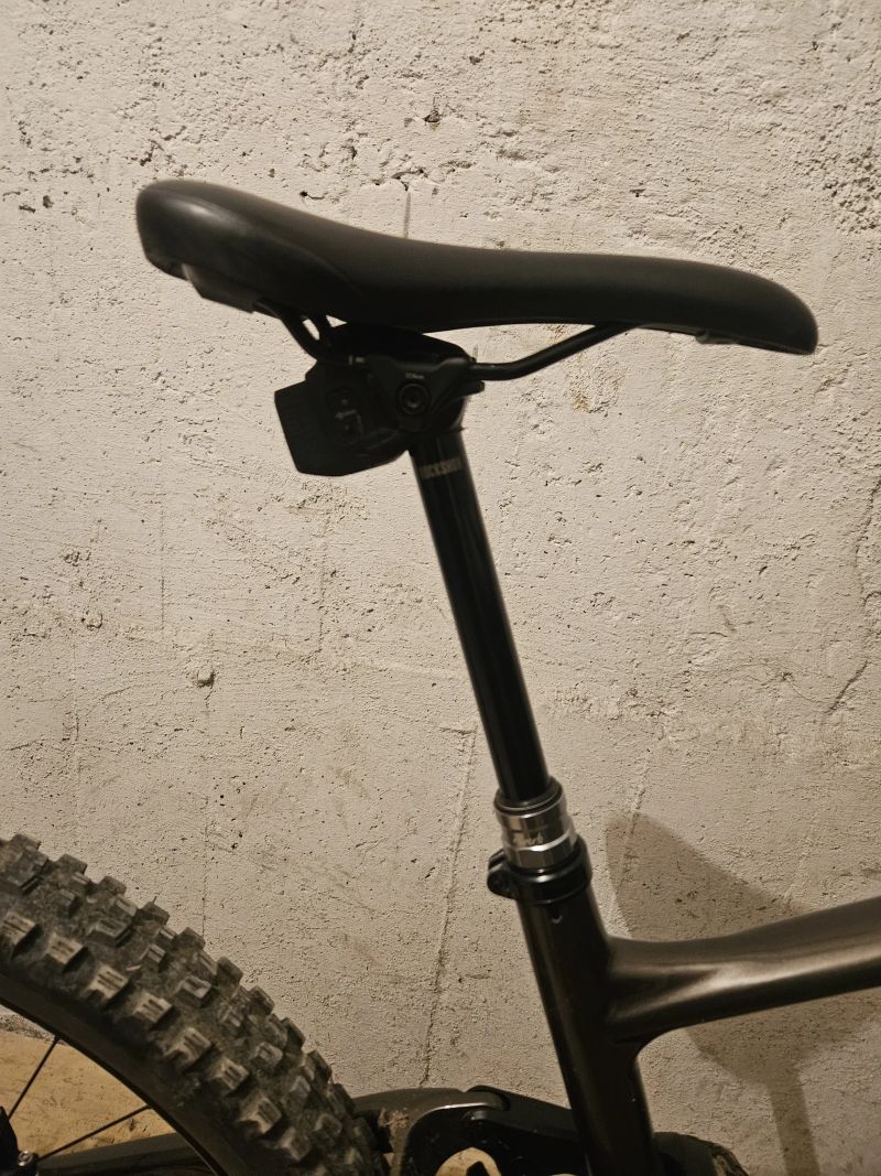 Specialized Enduro custom AXS