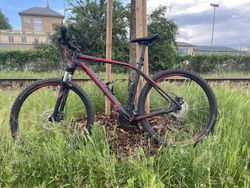 Specialized Rockhopper 29" – XL