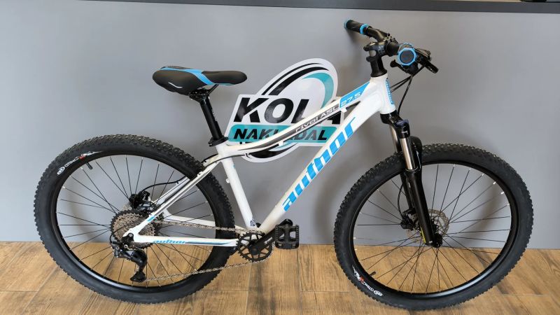 Author Rival XCM 27 1x10 S 2026