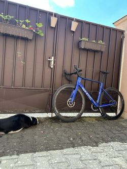 Van Rysel Van Rysel RCR Rival AXS + Powermeter + ZIPP 303