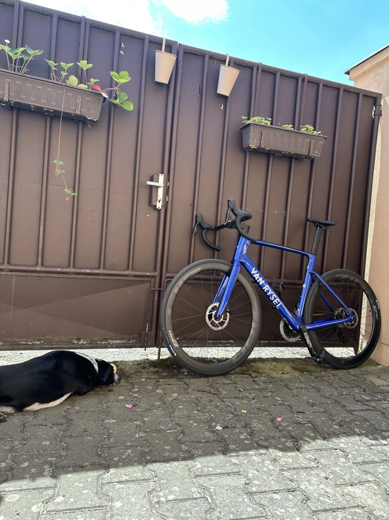 Van Rysel Van Rysel RCR Rival AXS + Powermeter + ZIPP 303