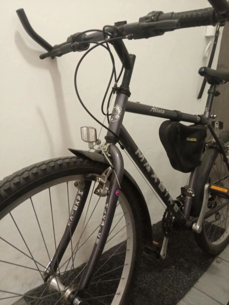 Maxbike Alivio