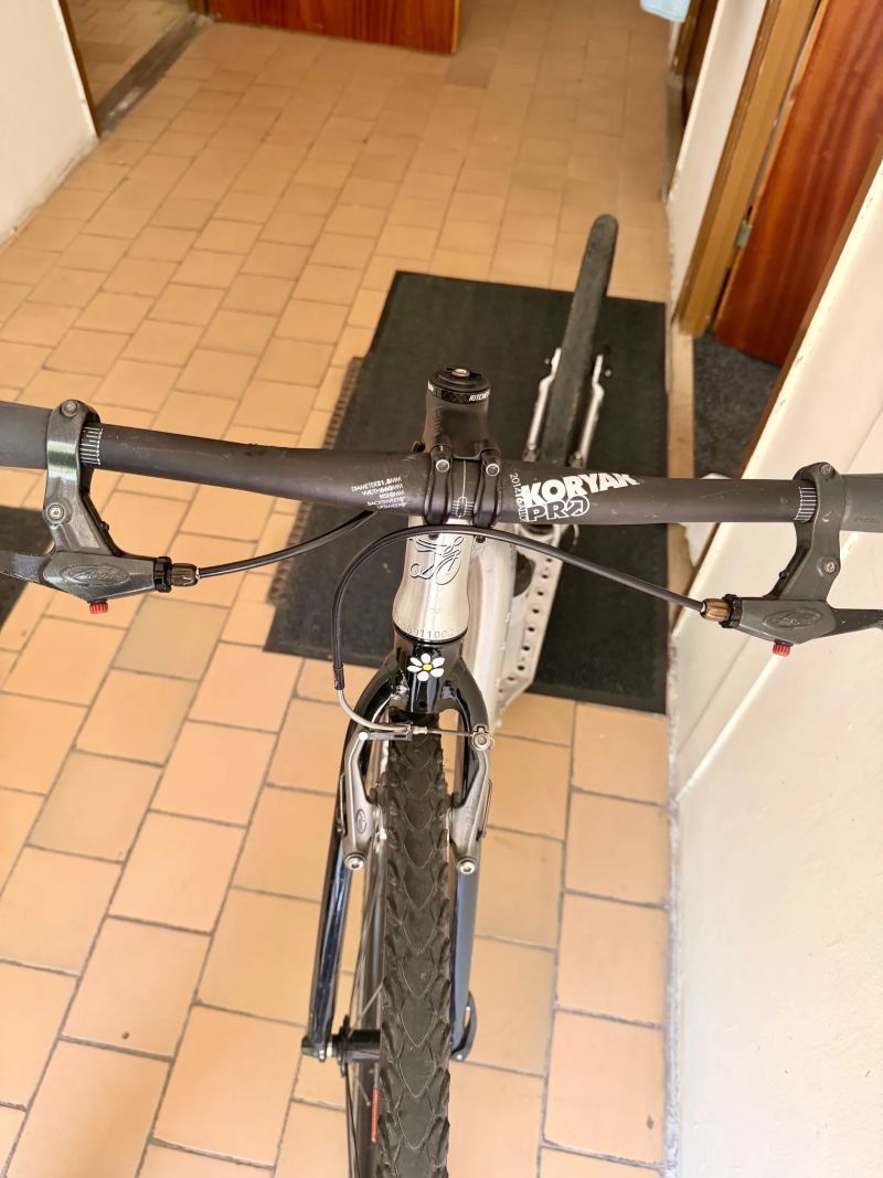 Kickbike 