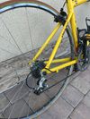 Giant TCR