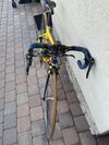 Giant TCR