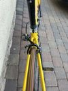 Giant TCR