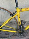 Giant TCR