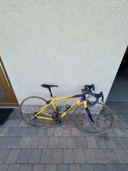 Giant TCR