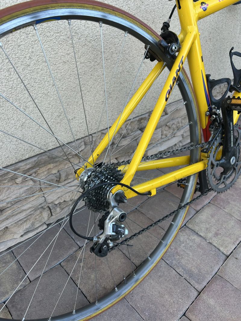 Giant TCR
