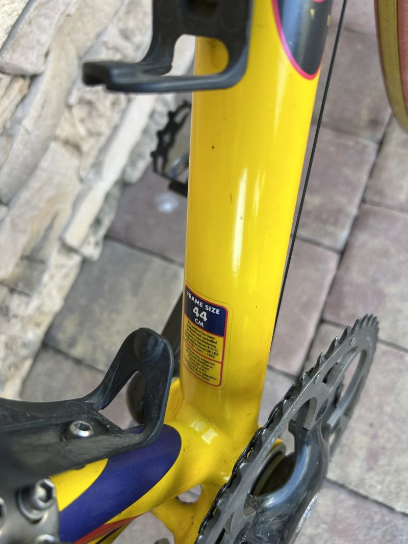 Giant TCR