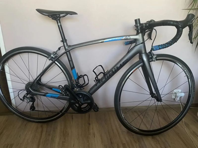 Haibike