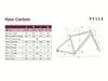 PELLS Raw Carbon 2 GRX Dijon Gold 2026 M