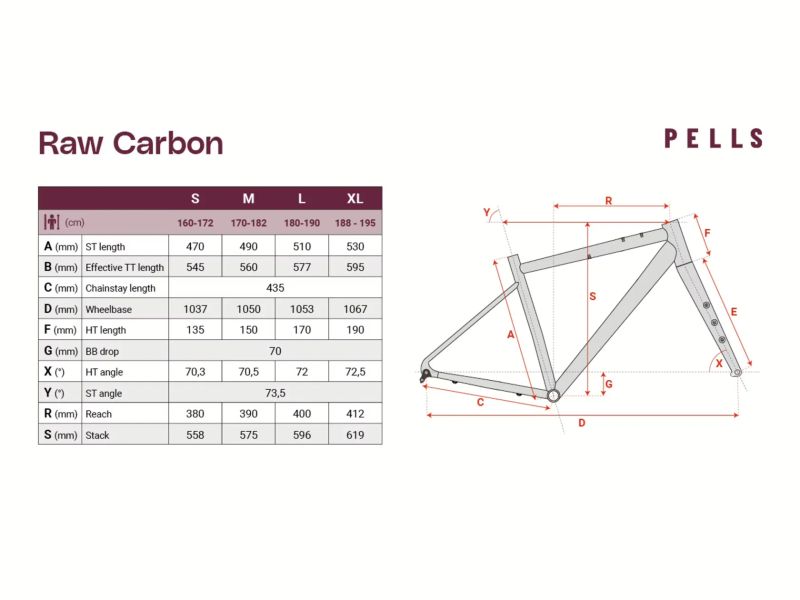 PELLS Raw Carbon 2 GRX Dijon Gold 2026 M