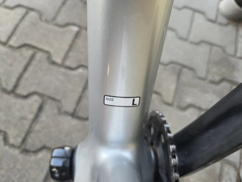 Canyon Exceed CF 5