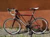 Merida Road Race 901