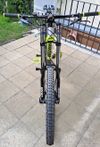 AGang Ninja DH Model 2014