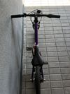 Rascal 20 Amethyst