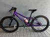 Rascal 20 Amethyst