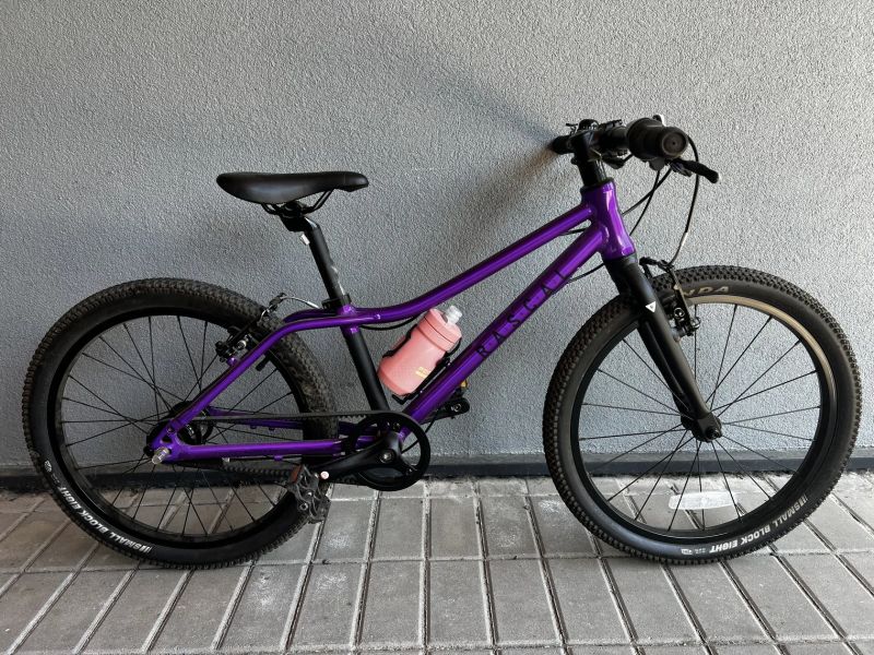Rascal 20 Amethyst
