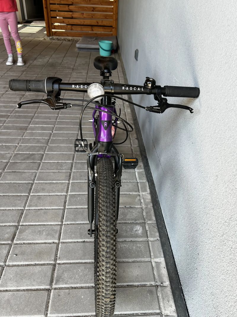 Rascal 20 Amethyst
