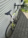 Cannondale