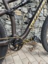 Specialized Epic EVO Expert+ M (XX1, karbon kola Roval SL)