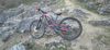 YT Industries 29" YT Capra AL M