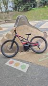 YT Industries 29" YT Capra AL M