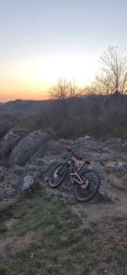 YT Industries 29" YT Capra AL M