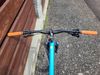 On-One Codeine 29er