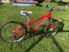 Specialized Hotrock 24
