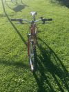 Specialized Hotrock 24